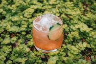 <p><strong>Ingredients</strong></p><p>1.5 oz Tito's Vodka<br>.25 oz Aperol<br>.75 oz honey simple syrup (1:1 honey and hot water)<br>.5 oz lime juice<br>4 cucumber slices</p><p><strong>Instructions</strong></p><p>In a mixing glass muddle the 4 cucumber slices. Add the rest of the ingredients, top with ice and shake. Strain the cocktail into a glass and top with fresh ice. Garnish with a cucumber wheel.</p><p><em>From the Hive Bentonville, in Bentonville, AR</em></p>