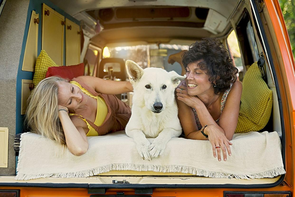 A dog in the back of a travel van with two women