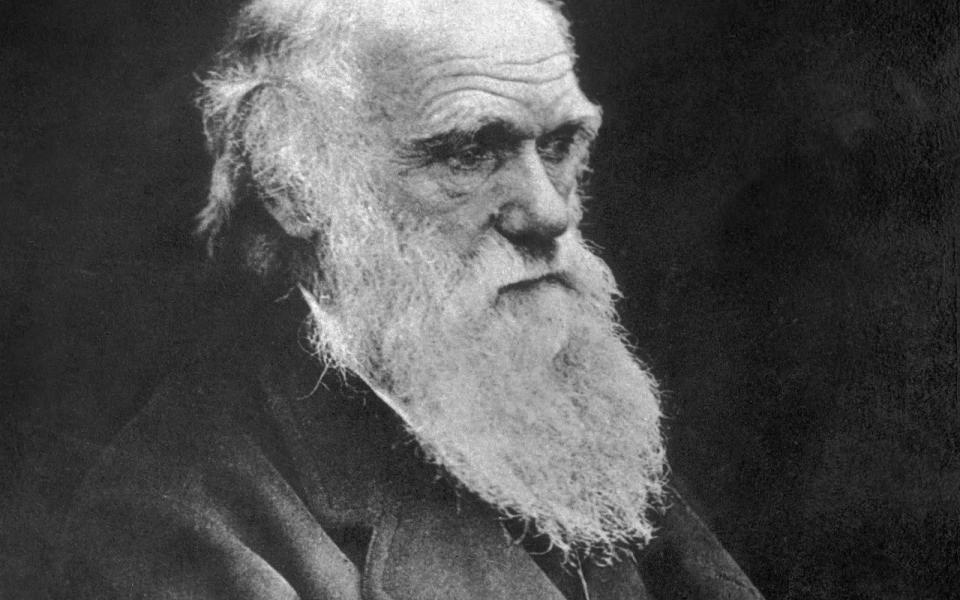 Die Gesichtsbehaarung des Menschen hatte wohl nichts damit zu tun, dass er zu einem Hit der Evolution wurde. Der berühmte Naturforscher Charles Darwin (1809 bis 1882) ließ den Bart trotzdem munter wachsen - sicher ist sicher. (Bild: Spencer Arnold Collection/Hulton Archive/Getty Images)