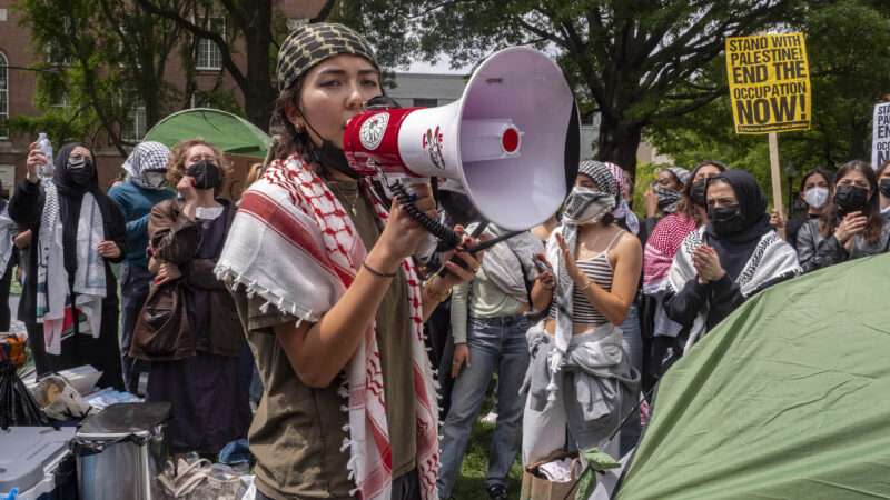 Pro-Palestinian protester at demonstration