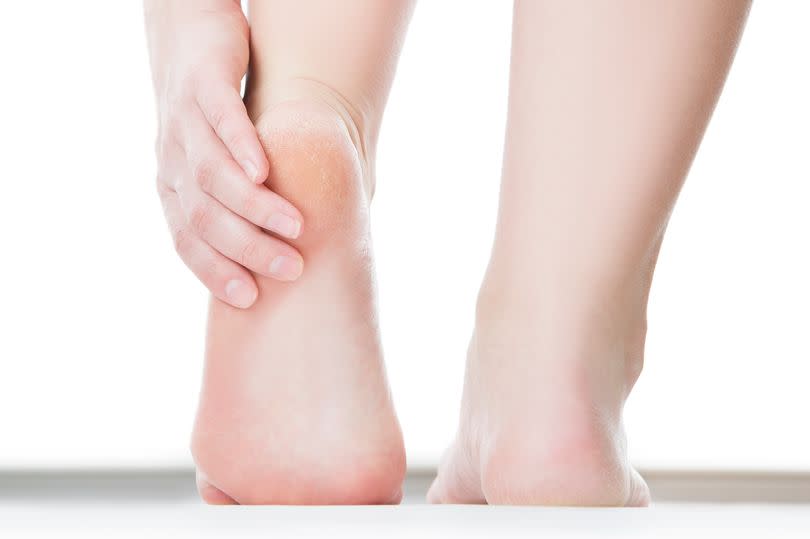 Massage of female feet. Pedicures. Isolated on white background.