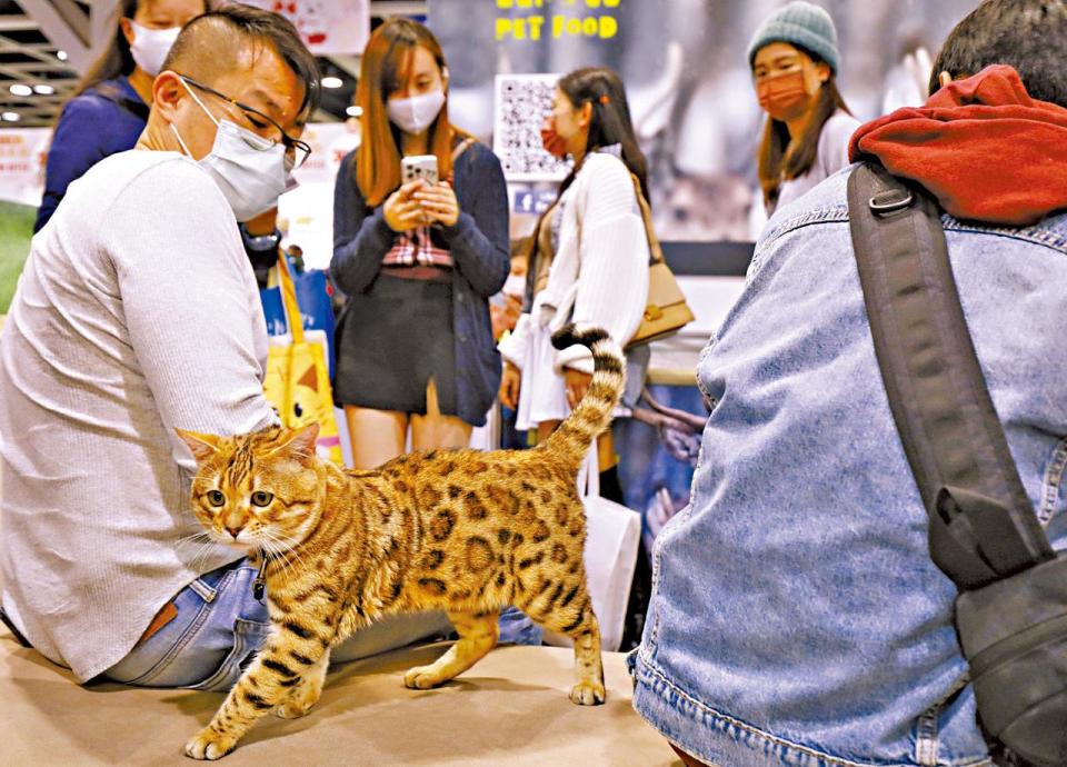 香港寵物節2023暨國際寵物用品博覽