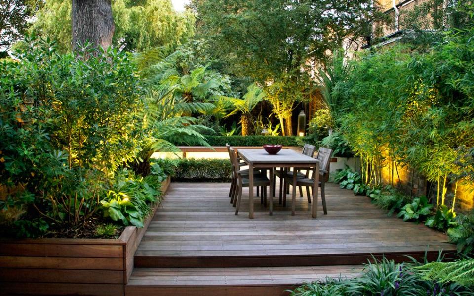 <p> If you actually love the idea of full on privacy (and trees!) then choose a mix of deciduous trees with strategically placed evergreens for a more balanced privacy solution that will give you gorgeous dappled light also.&#xA0; </p> <p> Alternatively, a canopy of deciduous trees can often provide a sense of privacy quickly. Bamboo is a fantastic instant screen, too. It grows quickly and is green all year around. </p>