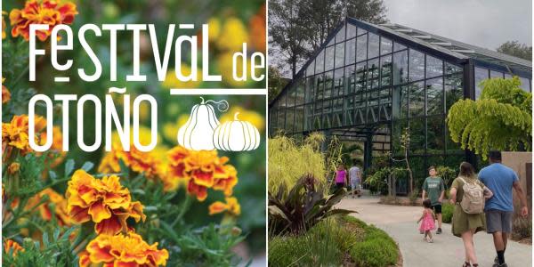 Jardín Botánico de San Diego te invita a su Festival de Otoño 