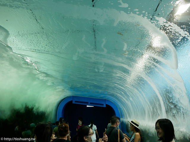 Xpark水族館-1620451