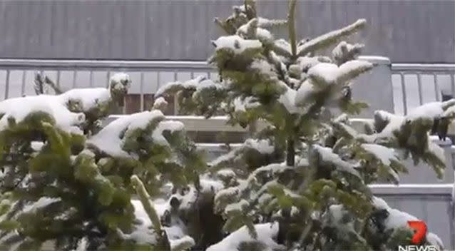 Parts of Australia have already received significant snow. Source: 7 News.