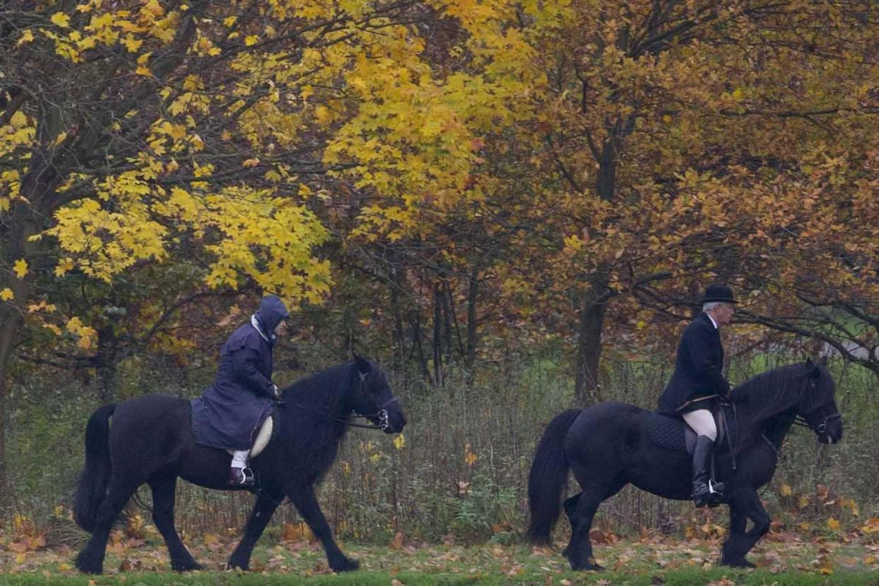 The Queen rode in the grounds of Windsor Castle: Rex Features