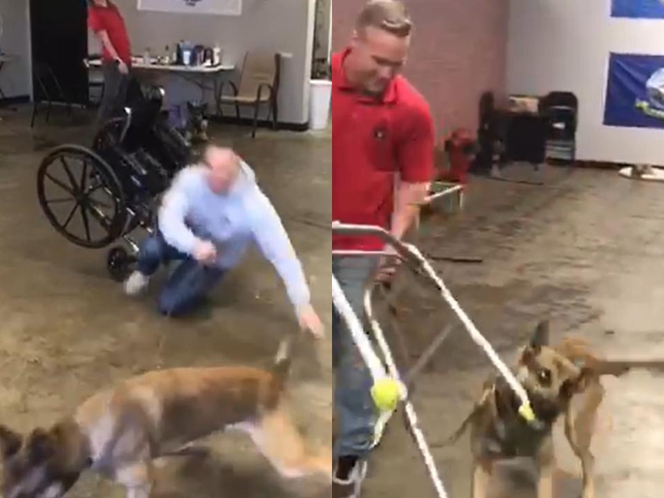 <p>狗狗萊克是訓練學院裡大家的開心果。（圖／Facebook@Double H Canine Training Academy） </p>
