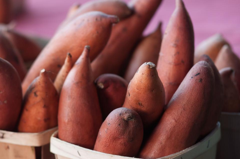 Organic sweet potatoes from Worden Farm in Florida.