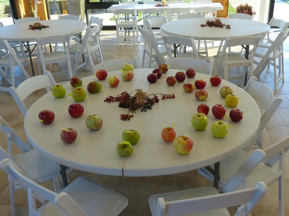 Look at all of the varieties of apples at Secrest Arboretum. The next Arbor-Eat-Um tasting will be Oct. 18.