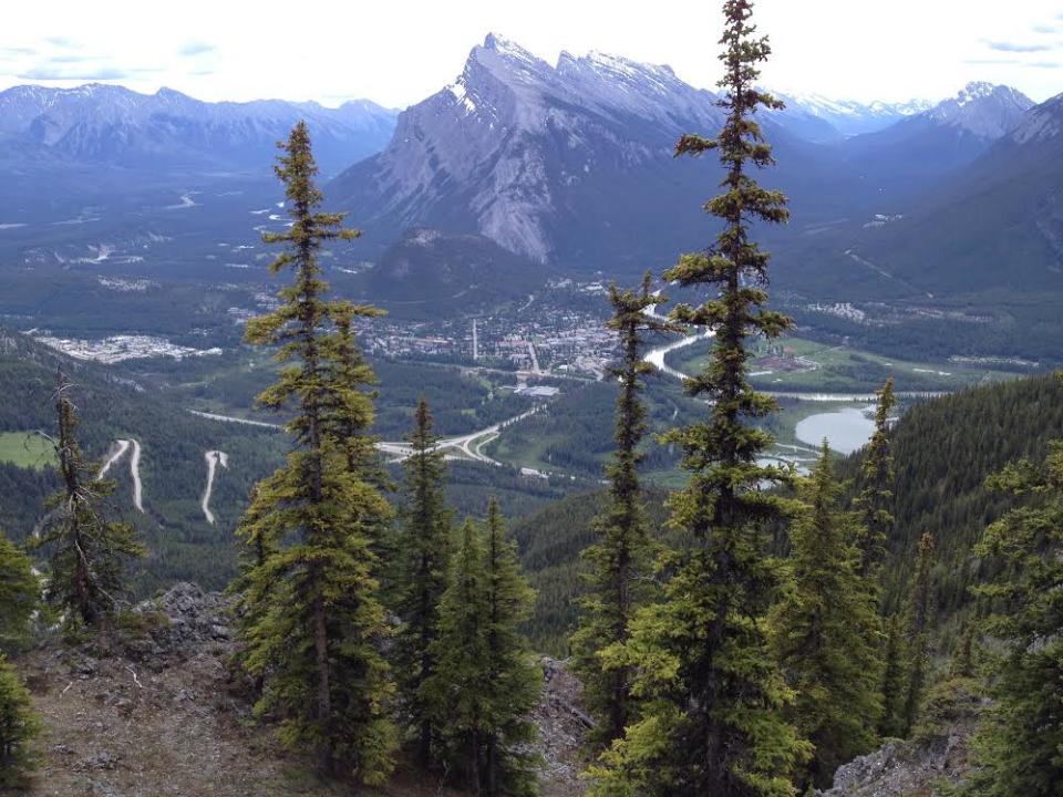 The view of Banff from Mount Norquay. 