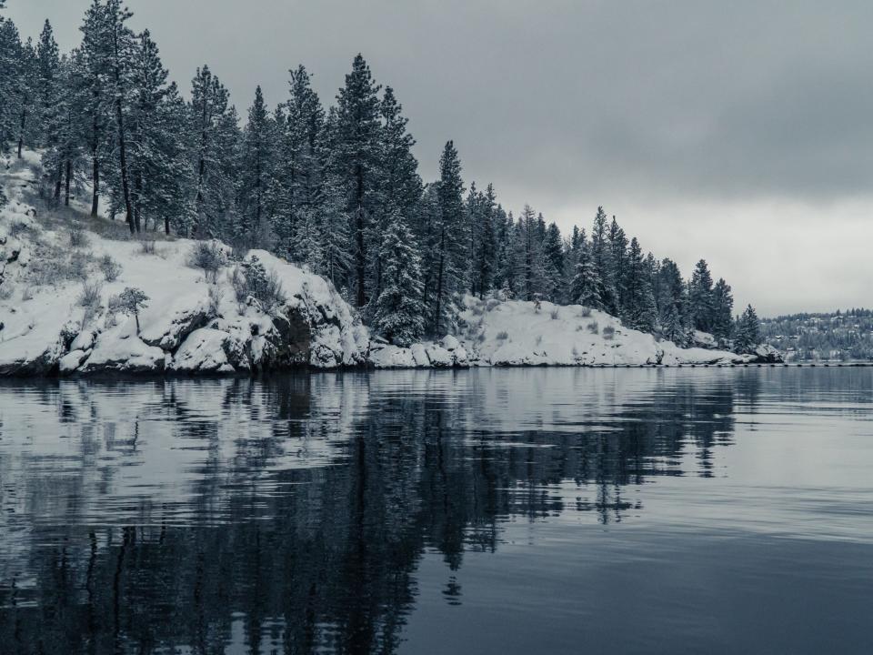 Winter Shoreline in Idaho.