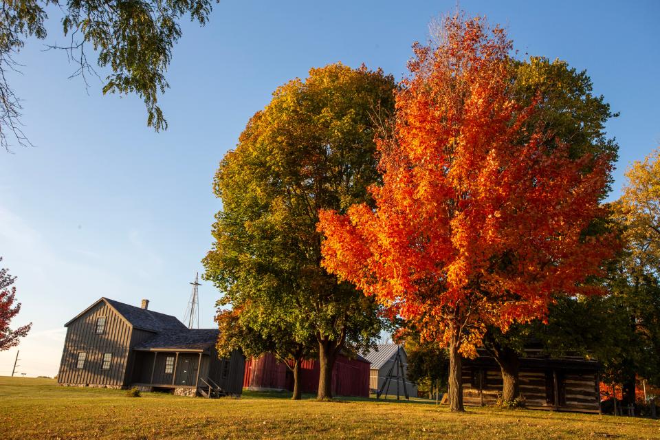 Trees afire with the colors of fall by the Sheboygan County Historical Museum’s Julius Bodenstab Cheese Factory building, Tuesday, Oct. 17, 2023, in Sheboygan, Wis.