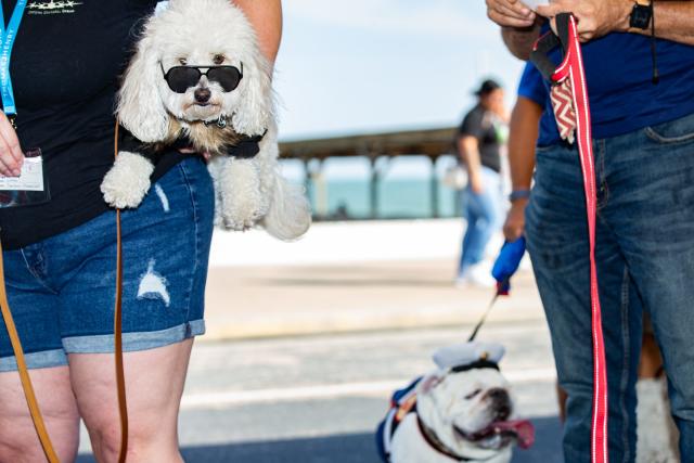 2023 San Antonio Thomas J. Henry Bark in the Park - Pet