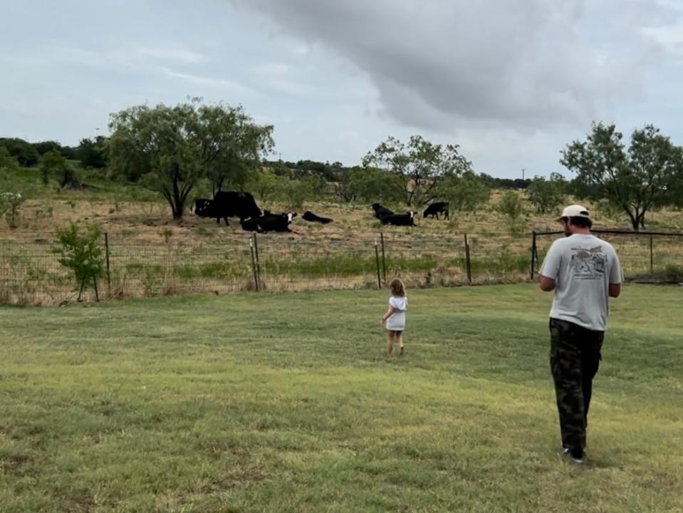 Clifford's husband and daughter standing on a grassy area looking at black and white cows lounging behind a fence
