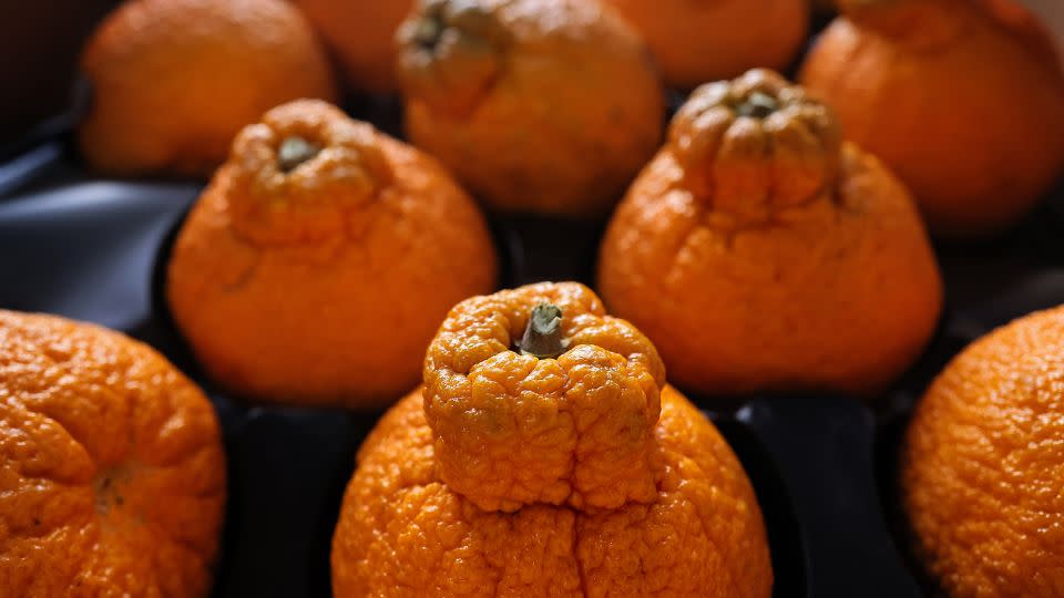 Sumo Citrus and other fruit varietals have developed a cult following. - Lane Turner/The Boston Globe/Getty Images