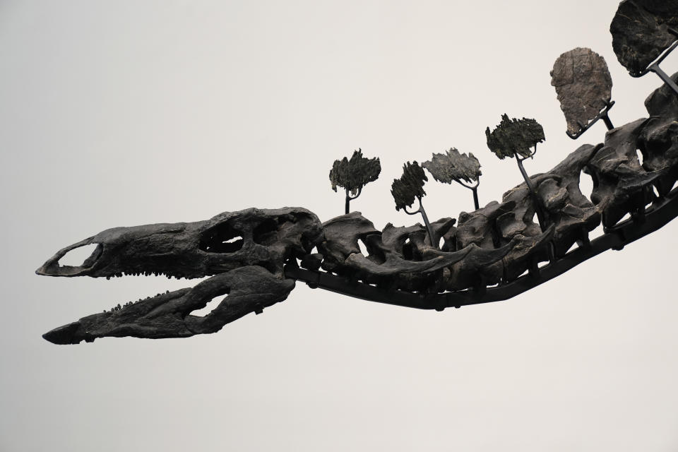 Part of a stegosaurus skeleton is displayed at Sotheby's New York in New York, Wednesday, July 10, 2024. (AP Photo/Pamela Smith)