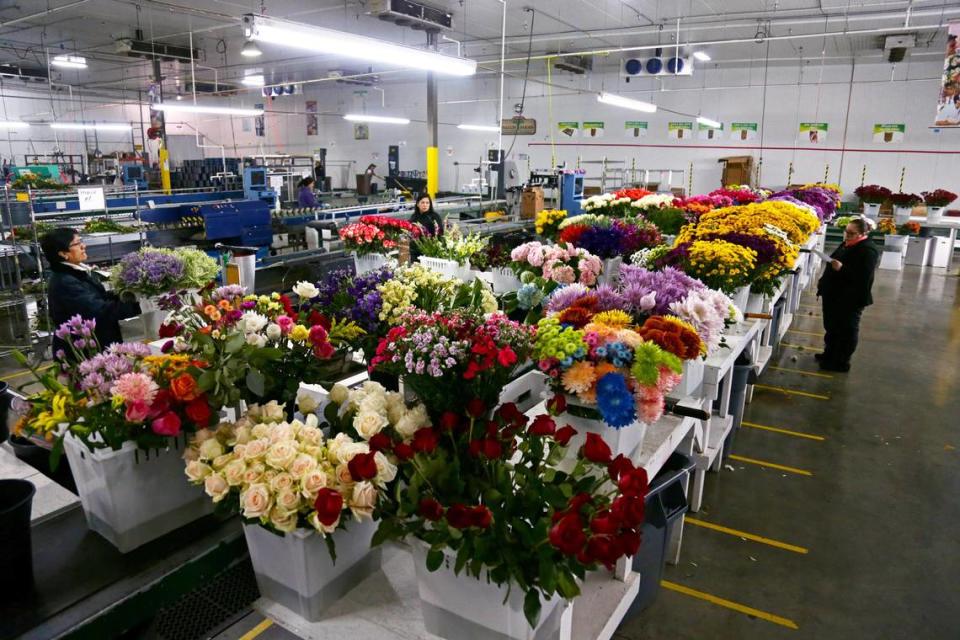 A general view of the products kept inside the cold storage facility building at Falcon Farms in Doral.