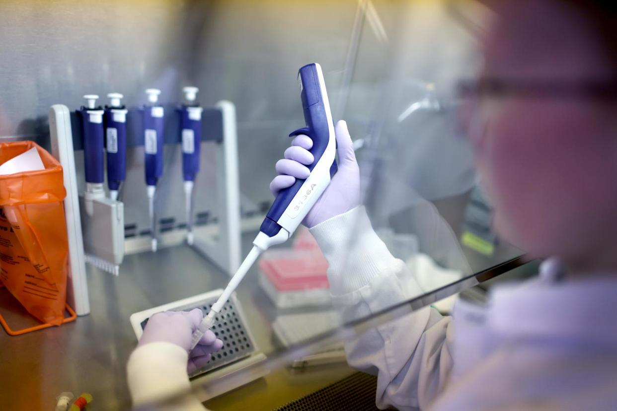 <span>A microbiologist tests poultry samples for bird flu at a laboratory in Madison, Wisconsin, in 2022.</span><span>Photograph: Scott Olson/Getty Images</span>