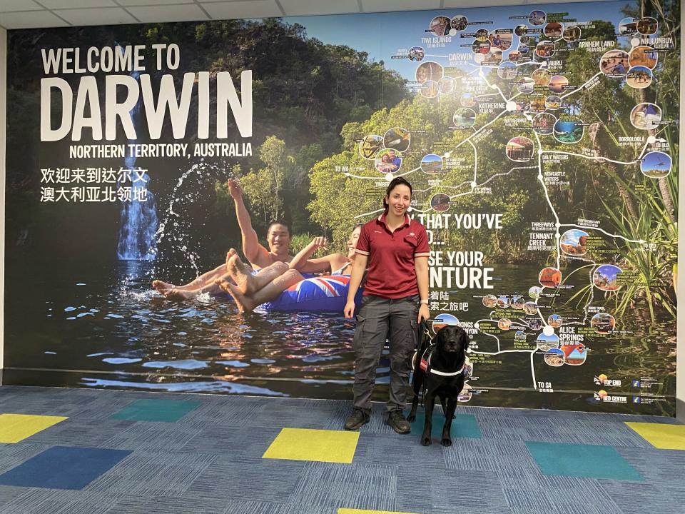 A dog is pictured at work with their fellow employee