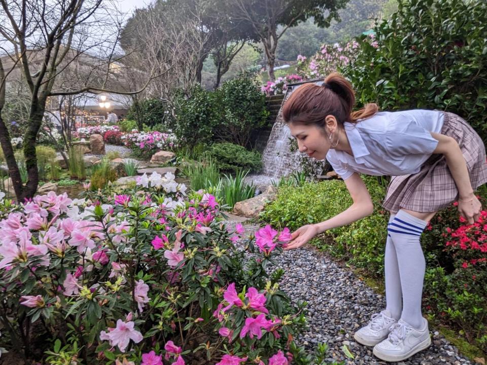 今年度萬金杜鵑花展以在地的杜鵑、生態植物、流水、景石打造全台最美的賞杜鵑秘境與「湧萬金」噴泉。   圖：新北市農業局提供