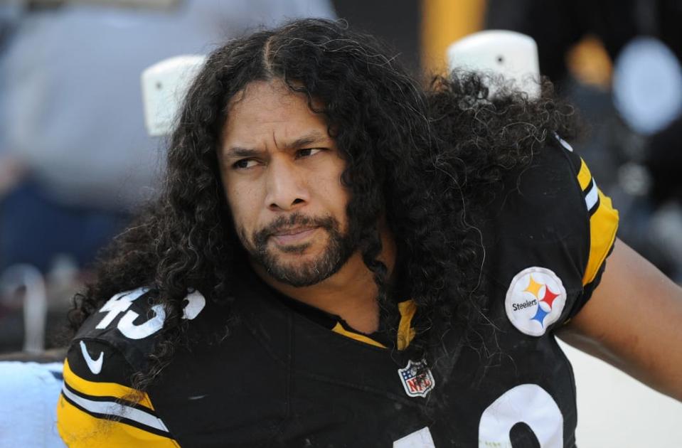 troy polamalu, pittsburgh steelers