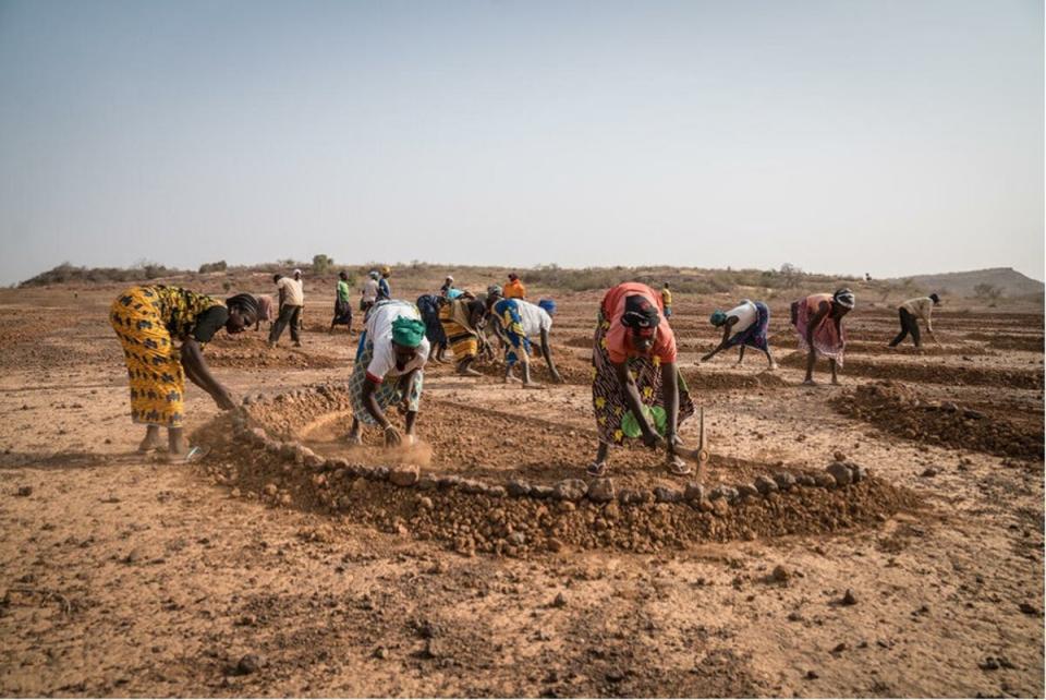 Burkina Faso: people in  Sirghin dig half-moon shapes to harness water and rehabilitate the soil (WFP/Evelyn Fey)