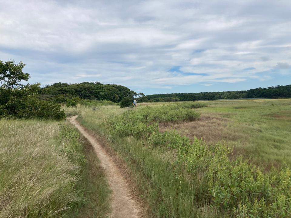 The Try Island Trail at the Mass Audubon Wellfleet Bay Wildlife Sanctuary.