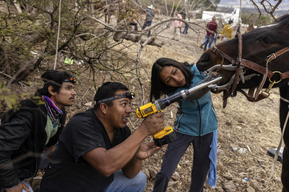 Mauro Antonio Nieto Acosta, izquierda, y Dereck Alejandro Morín, ambos estudiantes de veterinaria, administran medicamento antiparasitario a un caballo joven en una clínica RVETS en la comunidad de Charco de Sierra. (Victor J. Blue/The New York Times)
