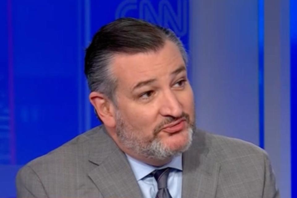 Ted Cruz appeared on CNN in a tense exchange about voter fraud on Wednesday (CNN)