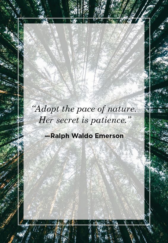 ralph waldo emerson nature quotes