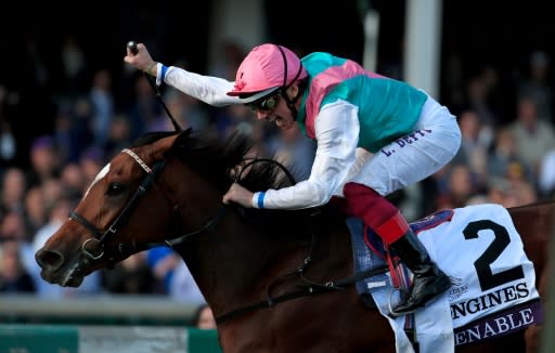 The difference between champion racehorse Enable and her rivals is her great mental strength, her trainer John Gosden told AFP