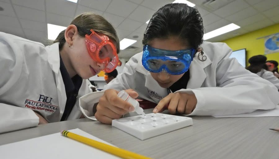 Twelve-year-olds Emma Starkman, left, and Jianna Landazabal-Echeverri test fake neurotoxins to determine which ailments afflicted their imaginary patients, Monday, April 15, 2024, at A.D. Henderson School in Boca Raton, Fla. While many teachers nationally complain their districts dictate textbooks and course work, the South Florida school's administrators allow their staff high levels of classroom creativity...and it works. (AP Photo/Wilfredo Lee)