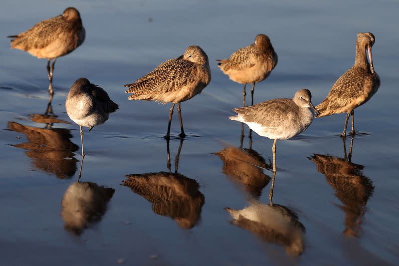 FILE PHOTO: Outbreak of the coronavirus disease (COVID-19) in Santa Monica, California