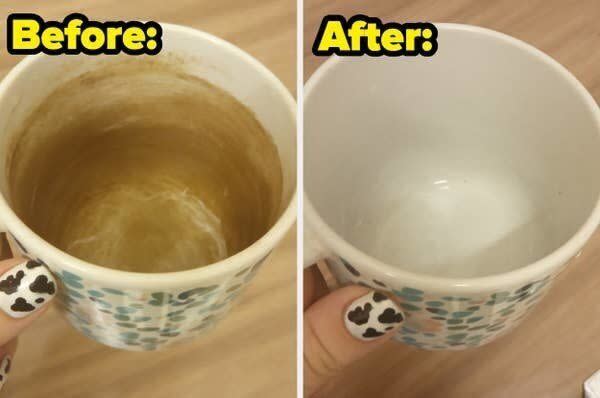 Bring your grossest cups back to life with this cleaning powder