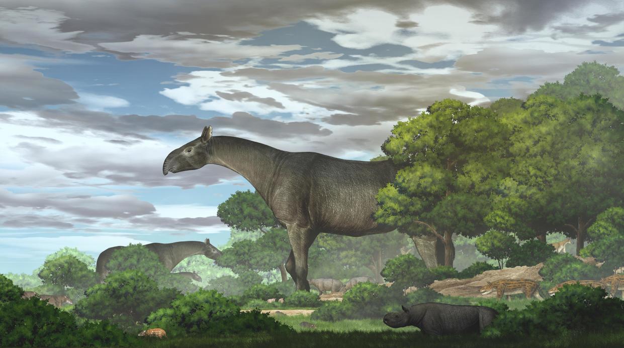 Reconstrucción artística de cómo sería el rinoceronte gigante Paraceratherium linxiaense en su hábitat. Crédito: Yu Chen