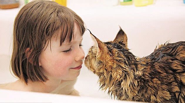 Unbreakable bond: Autistic girl comes out of her shell with the help of  fluffy feline friend