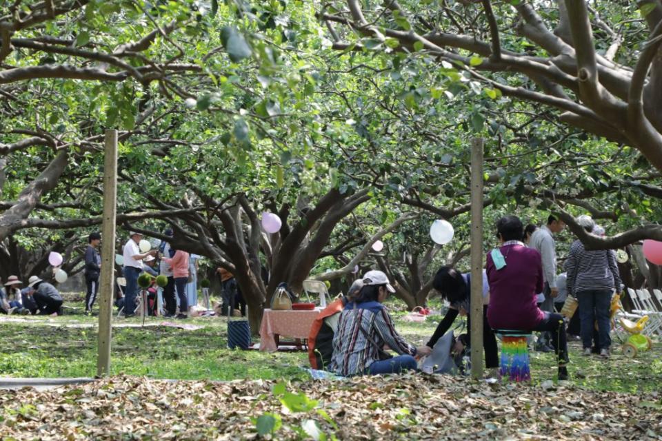 柚花藝術節在麻豆柚花巷展開系列活動。<br />（記者黃文記攝）