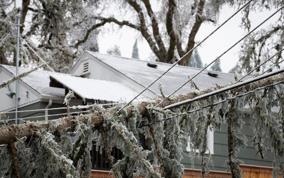 A fallen tree rests on utility lines on South 70th Street during a winter storm Jan. 16 in Springfield.