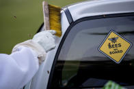 Beekeeper Sean Kennedy brush bees off of his truck after setting up a new hive at the corner of the Swiss residence where Jacques Pitteloud, the Swiss ambassador to the U.S., has offered space for new hives for captured swarms of honeybees in Northwest, Monday, April 20, 2020, in Washington. “Bees are not aggressive unless you invade their home or step on them,” Kennedy says. “But they do put people off. Some people are just innately afraid of things that sting and maybe that’s primal and necessary but if you have them in your office building or you have them in your tourist spots, they become a problem. So, it’s good to catch them in that middle step when we can just put them somewhere where they are welcome.” (AP Photo/Andrew Harnik)