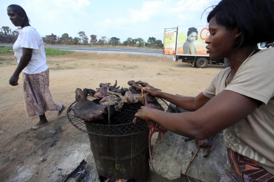 A woman dries bushmeat near a road of the Yamoussoukro highway March 29, 2014. Bushmeat - from bats to antelopes, squirrels, porcupines and monkeys - has long held pride of place on family menus in West and Central Africa, whether stewed, smoked or roasted. Experts who have studied the Ebola virus from its discovery in 1976 in Democratic Republic of Congo, then Zaire, say its suspected origin - what they call the reservoir host - is forest bats. Links have also been made to the carcasses of freshly slaughtered animals consumed as bushmeat. (REUTERS/Thierry Gouegnon)