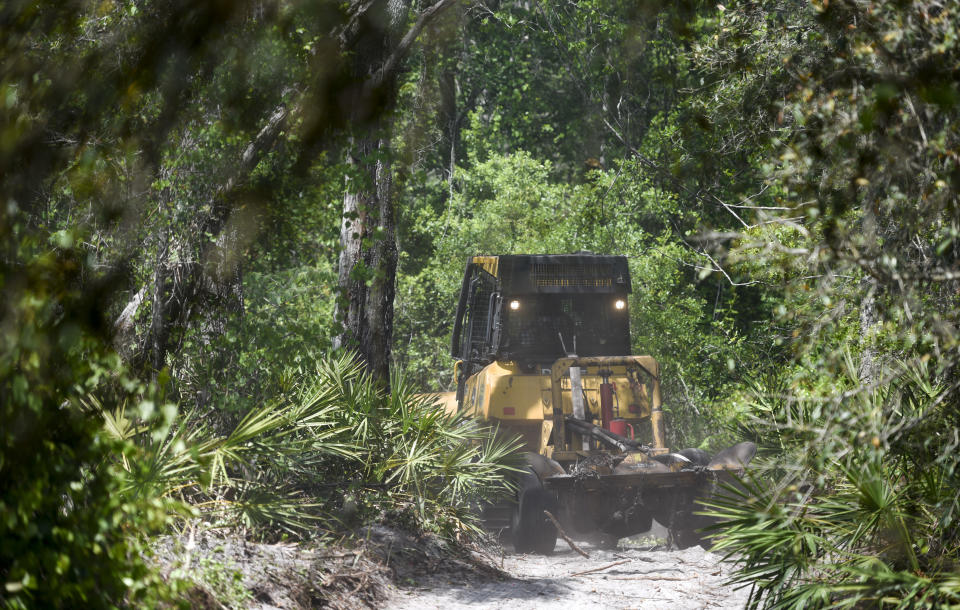 A Florida Forest Service bulldozer creates a fire break in the woods close to homes in the Suncoast Lakes subdivision Tuesday, April 11, 2017 in Land O' Lakes, Fla. The Silver Palms Fire burned close to homes Tuesday forcing residents to use garden hoses on vegetation and roofs around their property. (Chris Urso/The Tampa Bay Times via AP)