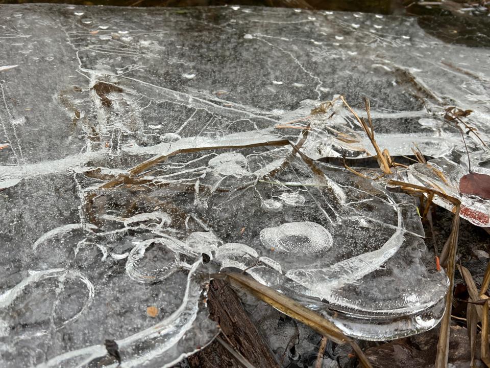 A close up of ice bubbles that formed in a pond.