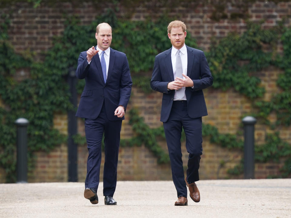 Prince william and harry at diana statue unveiling