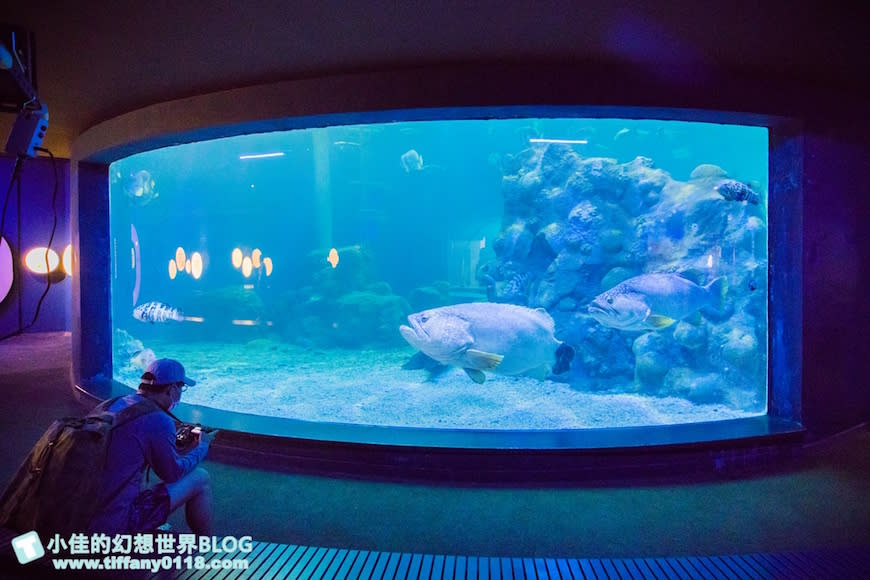 澎湖水族館