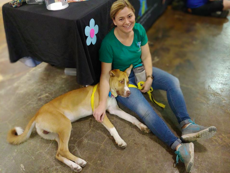 Arizona dog Binx returned to animal shelter for being 'too good'