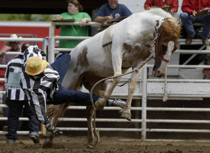 Angola Prison Rodeo marks 50 years
