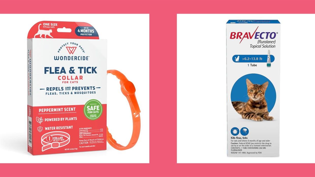 flea and tick cat collar and topical flea solution for cats