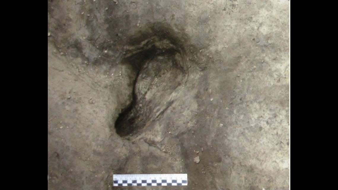 Three of the footprints found were identified as belonging to early humans, researchers said.