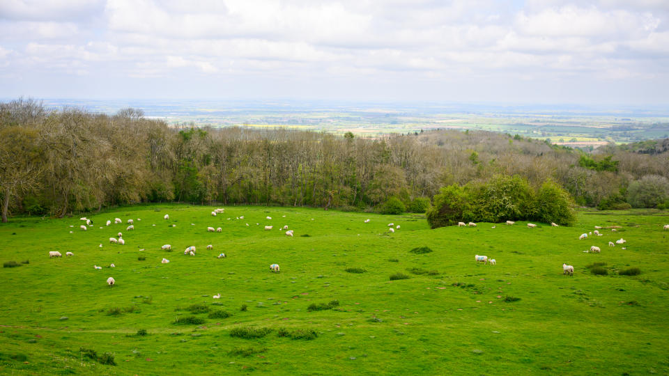 The Cotswolds have been designated as an Area of ​​Outstanding Natural Beauty (AONB).